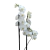 Orquídea Luxo Gigante - comprar online