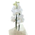 Mine Orquídea Branca - comprar online