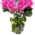 Elegância de Rosas cor de Rosa na internet