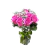 Elegância de Rosas cor de Rosa