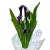 Vaso de Callas - comprar online