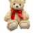 Urso Tobias na internet