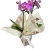 Mini Orquídea na internet