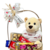 Cesta Loucura de Amor - comprar online