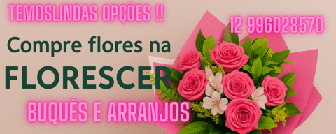 Carrossel 1