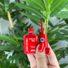Esmalte em Gel Coleção Vemelhos (10ml) - Hello Mini na internet