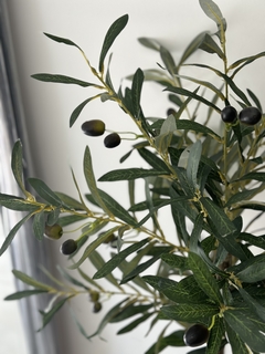 Planta olivo 95 cm - comprar online