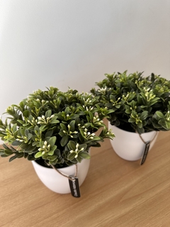 Planta artificial boxwood - comprar online