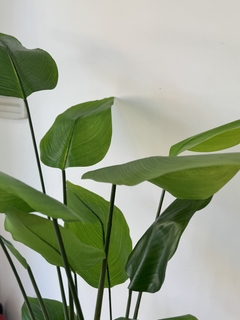 Planta artificial Canna grande en internet