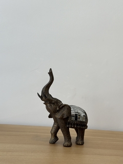 Elefante Rafael en internet