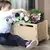 Carro Infantil Cajón para Juguetes con Ruedas y Soga! en internet