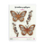 Formitas Laser Mariposas