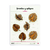 Formitas Laser Hojas tropicales