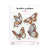 Formitas Laser Mariposas