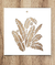Stencil Hojas tropicales