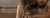 Imagem do banner rotativo Fixar Perfumes