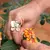 Brincos e Anel Flor Lisa Banho Ouro - loja online