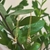 Brinco Fio Pirita Dourado - comprar online