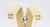 Colar Stitch