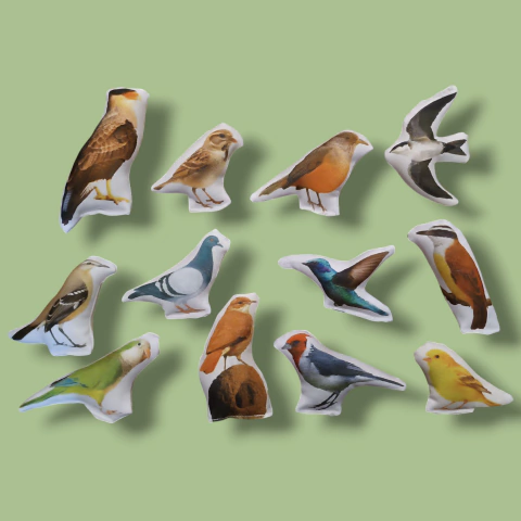 Set Pájaros argentinos