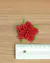 Pacote de flor - Flor Poinsettia G - comprar online