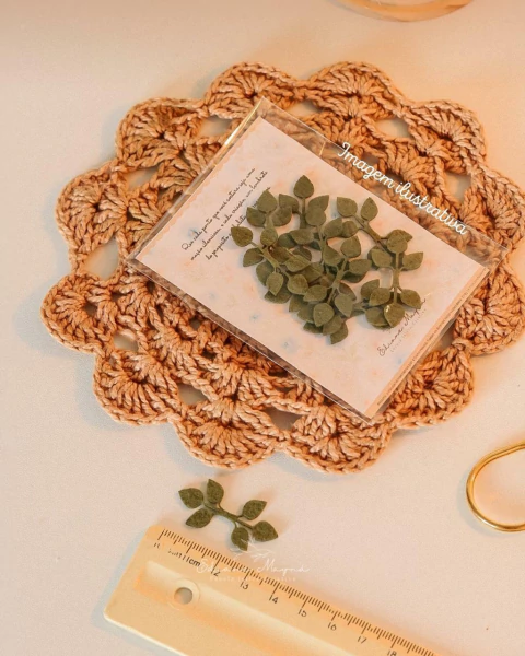 Pacote de folhas. Ref. CNSG.