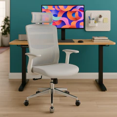 Cadeira Ergonômica Core 2D na internet