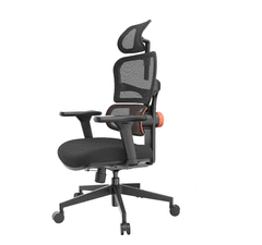 Cadeira Ergonômica Pro na internet