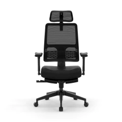 Cadeira Ergonômica Recline na internet
