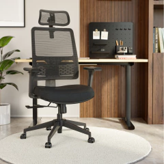 Cadeira Ergonômica Plus na internet