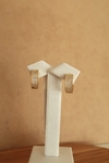 Birnco Argola G cravejada