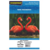 PAPEL A4 FOTOGRÁFICO GLOSSY - MASTERPRINT - comprar online
