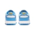 Nike Dunk Low “Coast” na internet