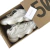 Yeezy 500 "Bone White" - loja online