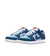 Why So Sad? x Nike SB Dunk Low "The Predatory Bird" na internet