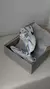 TÊNIS NEW BALANCE 530 BRANCO E PRATA na internet