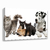 Quadro Decorativo ANIMAIS_173866