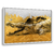 Quadro Decorativo Animal 25 - comprar online