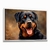 Quadro Decorativo Rottweiller na internet