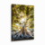 Quadro Decorativo Árvore da Vida com Raízes Expostas Iluminada - comprar online