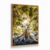 Quadro Decorativo Árvore da Vida com Raízes Expostas Iluminada - loja online