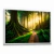Quadro Decorativo Árvore Centenária na internet