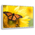 Quadro Decorativo Borboleta 04 - comprar online