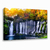 Quadro Decorativo Cachoeira Vel de Noiva - comprar online