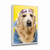 Quadro Decorativo Cachorro 104 - comprar online