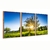 Imagem do Quadro Decorativo Kit 3 Telas, Campo ao Nascer do Sol