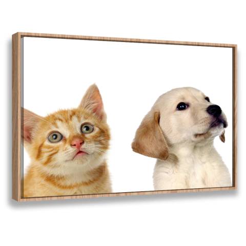 Quadro Decorativo CÃO_GATO_173863