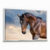 Quadro Decorativo Cavalo Marron na internet