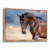 Quadro Decorativo Cavalo Marron - loja online