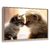 Quadro Decorativo Gatos 643410787 na internet